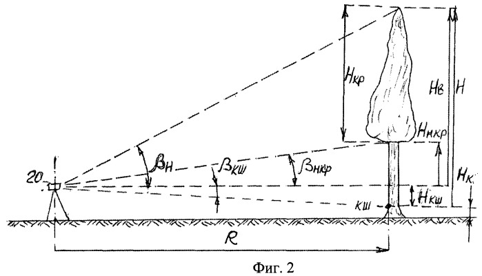 Способ измерения учетных деревьев вокруг лесной поляны (патент 2446675)