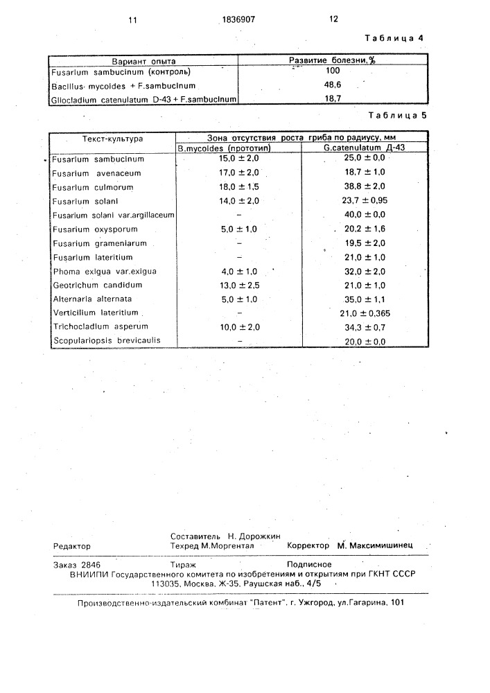 Штамм гриба gliосlаdiuм сатеnulатuм gilмаn. ет аввотт для получения препарата против грибных возбудителей картофеля (патент 1836907)