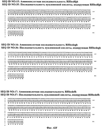 Антитела против вируса гепатита с (патент 2462475)