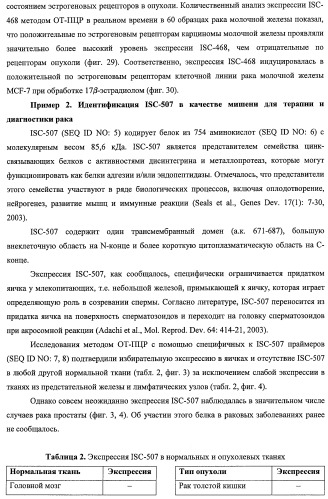 Идентификация опухолевых антигенов для диагностики и терапии (патент 2485974)