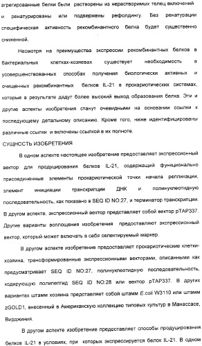 Продуцирование il-21 в прокариотических клетках-хозяевах (патент 2354703)