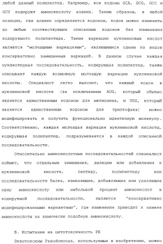 Scfv против egfrviii с улучшенной цитотоксичностью и выходом, иммунотоксины на их основе и способы их применения (патент 2317999)