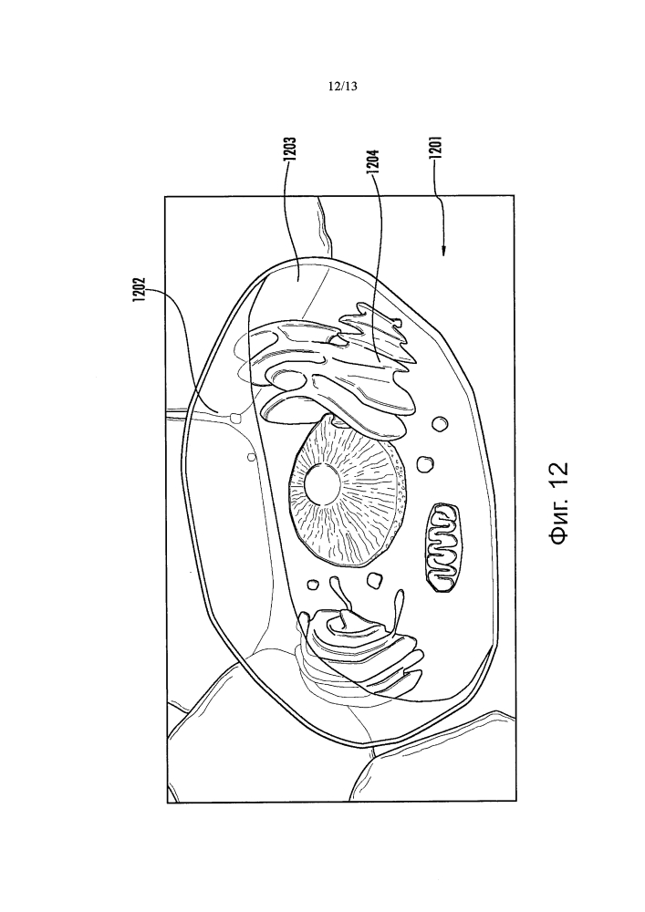 Интегрированная интерактивная система и способ для визуализации физиологического состояния, заболевания, вариантов лечения человека и применения (патент 2654286)