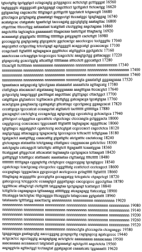 Модуляция экспрессии гентингтина (патент 2562861)
