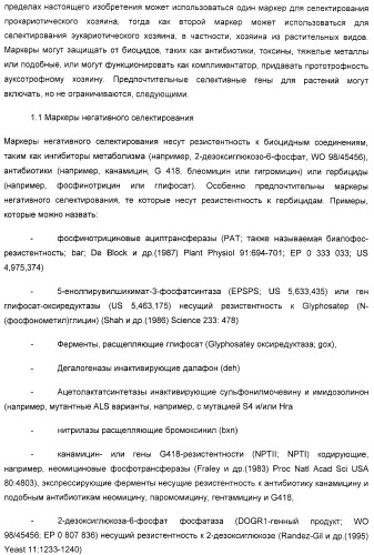 Улучшенная трансформация сои (патент 2389797)