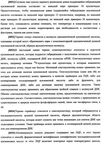 Конструкции терапевтического переключения генов и биореакторы для экспрессии биотерапевтических молекул и их применение (патент 2499599)