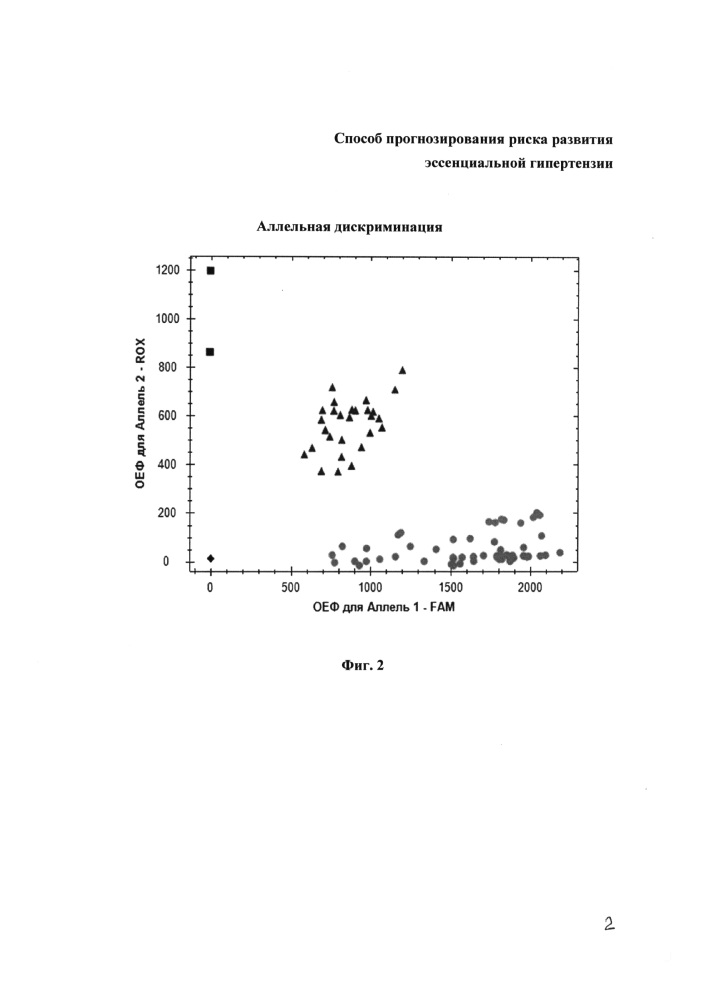 Способ прогнозирования риска развития эссенциальной гипертензии (патент 2661604)