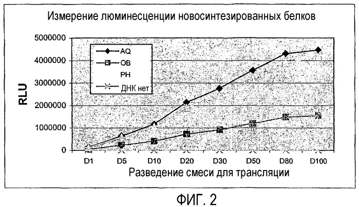 Фотобелок с повышенной биолюминесценцией (патент 2340629)