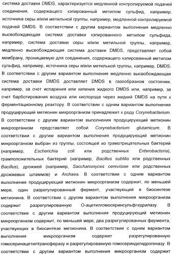 Применение диметилдисульфида для продукции метионина микроорганизмами (патент 2413001)