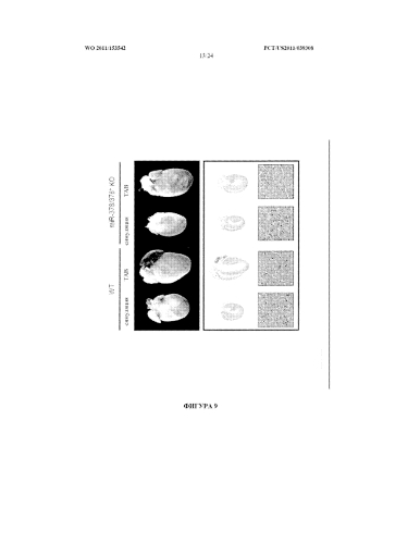 Регуляция метаболизма с помощью mir-378 (патент 2585491)