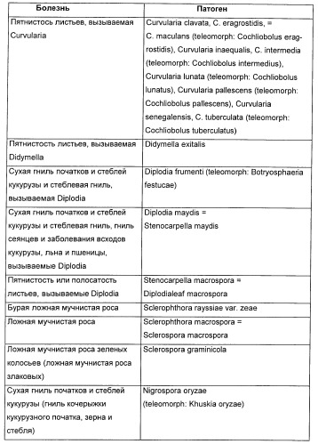 Способ повышения стойкости к стрессовым факторам в растениях (патент 2375452)