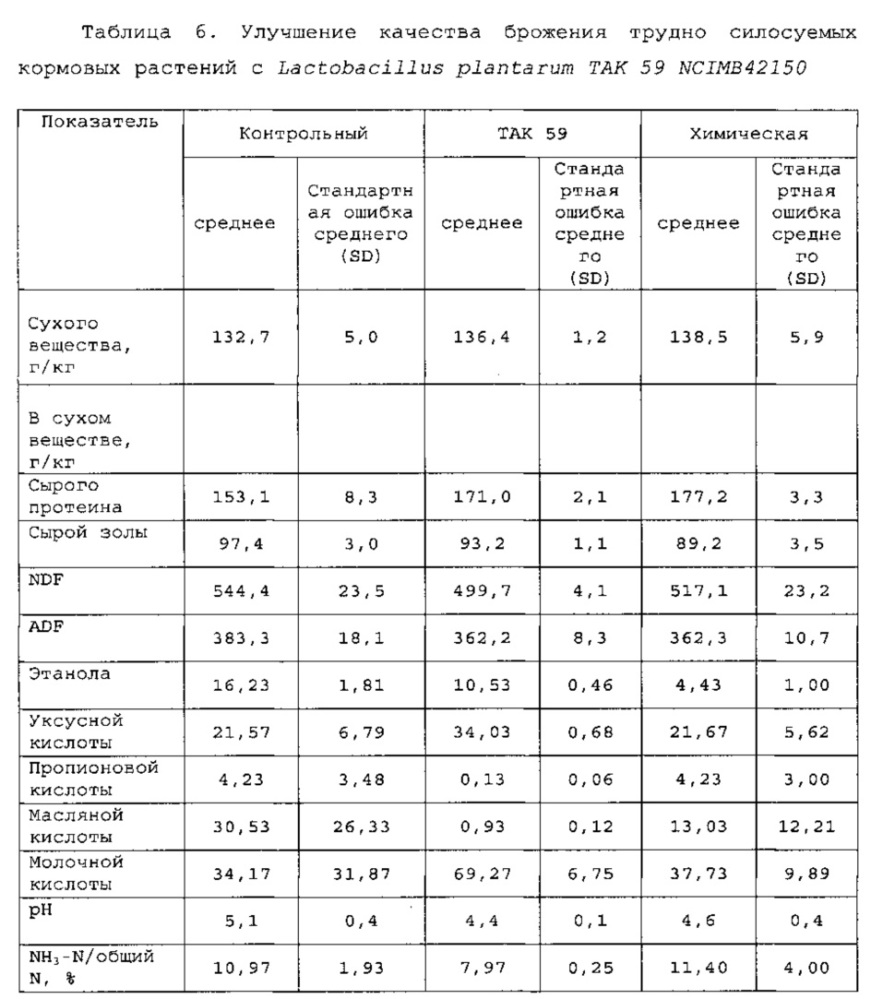 Изолированный штамм микроорганизма lactobacillus plantarum tak 59 ncimb42150 и его применение (патент 2645471)