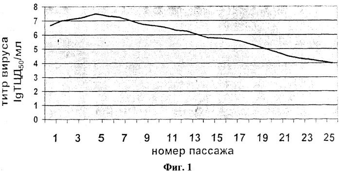 Вирусвакцина ассоциированная против оспы овец и оспы коз культуральная сухая (патент 2403064)