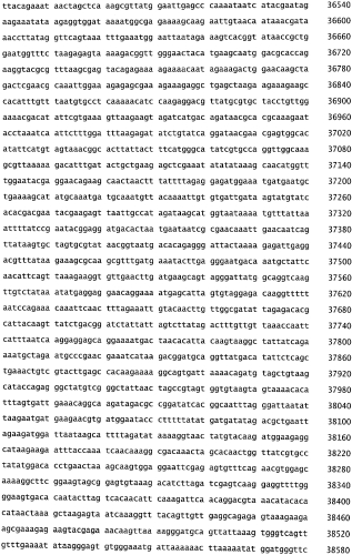 Бактериофаг, обладающий активностью против pseudomonas aeruginosa, белки бактериофага и способы их применения (патент 2580248)