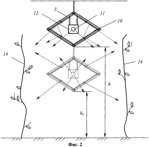 Устройство для облучения растений (патент 2318368)
