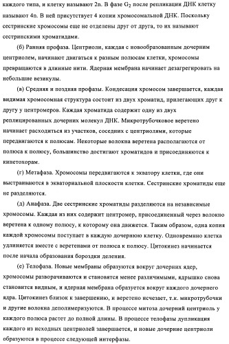 Стероидные соединения в качестве ингибиторов стероидсульфатазы (патент 2428427)