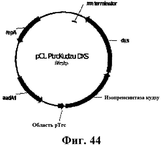 Композиции и способы получения изопрена (патент 2545699)