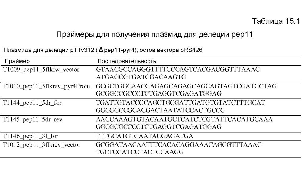 Клетка нитчатых грибов с дефицитом протеаз и способы ее применения (патент 2645252)