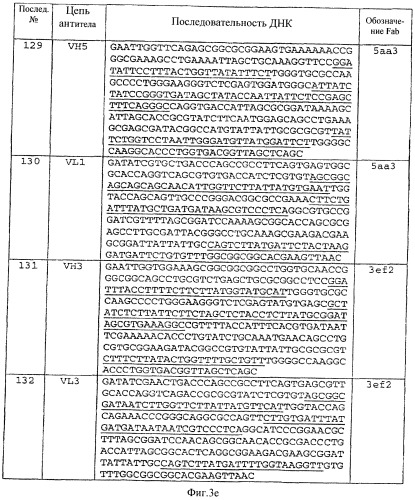 Анти-mn антитела и способы их применения (патент 2427590)