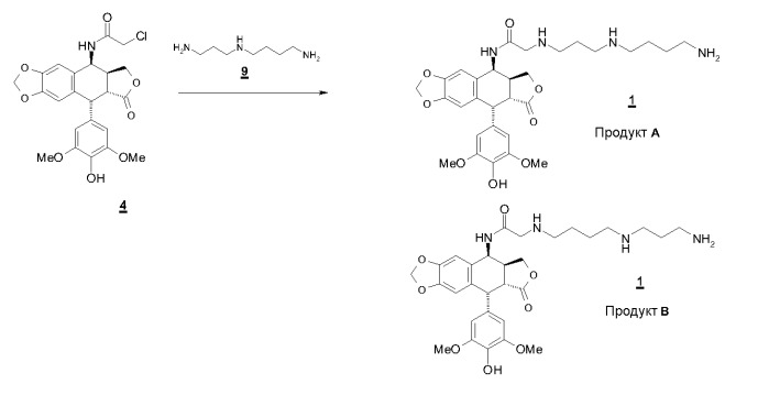 Способ синтеза противораковых производных (поли)аминоалкиламиноацетамида эпиподофиллотоксина (патент 2450009)