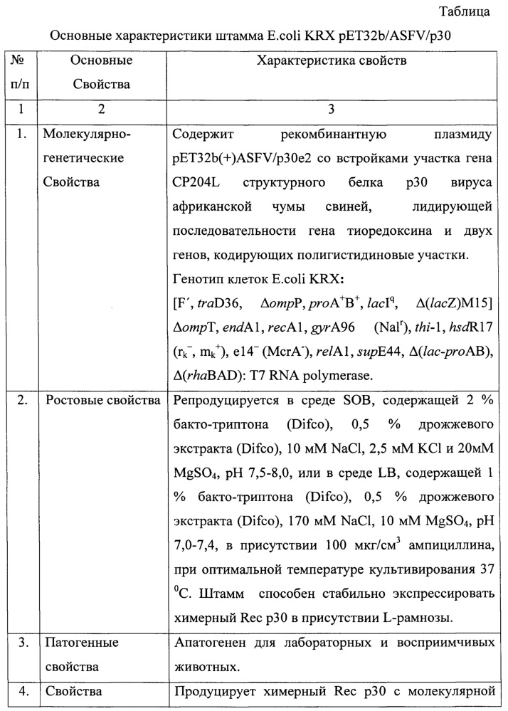 Штамм бактерий escherichia coli krx pet32b/asfv/p30-продуцент химерного рекомбинантного белка p30 вируса африканской чумы свиней (патент 2647573)