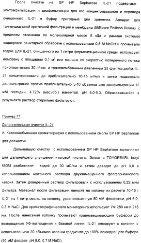 Продуцирование il-21 в прокариотических клетках-хозяевах (патент 2354703)