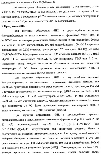 Способ производства 4-гидрокси-l-изолейцина или его соли (патент 2355767)