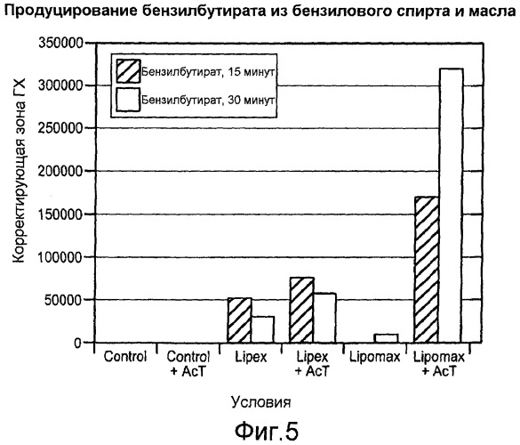 Композиция и способ для получения душистого сложного эфира (патент 2511409)