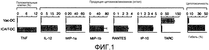 Система и способ получения и хранения активированных зрелых дендритных клеток (патент 2575978)