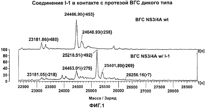 Ингибиторы протеазы вируса гепатита с и их применение (патент 2523790)