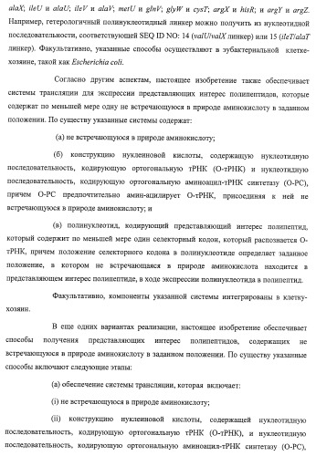 Система экспрессии компонентов ортогональной трансляции в эубактериальной клетке-хозяине (патент 2467069)