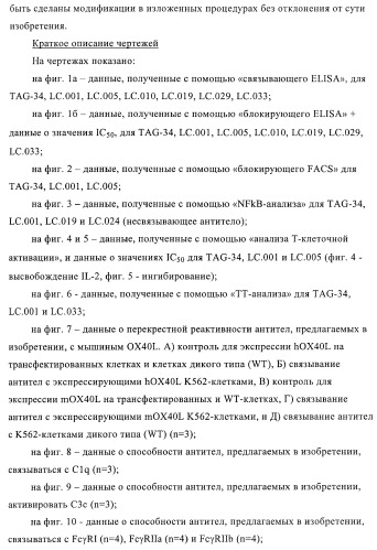 Антитела к ох40l (патент 2395523)