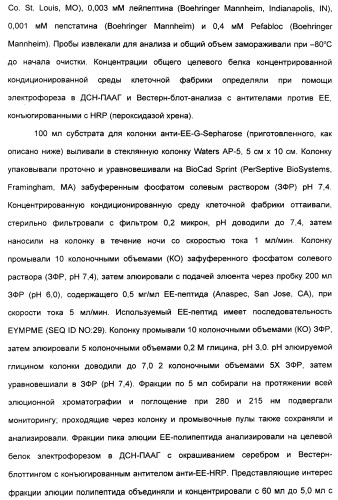 Выделенный полипептид, связывающий рецептор zalpha11-лиганда (варианты), кодирующий его полинуклеотид (варианты), вектор экспрессии (варианты) и клетка-хозяин (варианты) (патент 2346951)