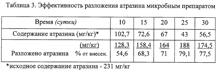 Способ получения микробного препарата для утилизации пестицидов, способ утилизации пестицидов (варианты) и устройство для утилизации пестицидов (патент 2279325)