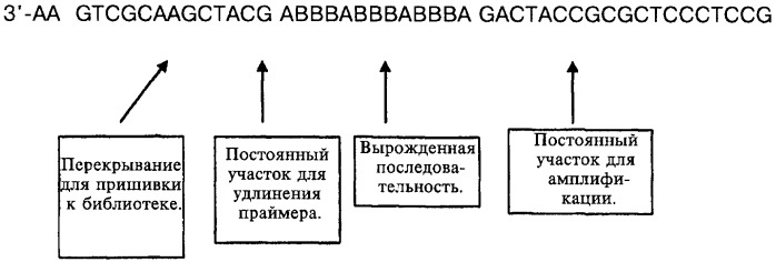 Соединение, содержащее кодирующий олигонуклеотид, способ его получения, библиотека соединений, способ ее получения, способ идентификации соединения, связывающегося с биологической мишенью (варианты) (патент 2459869)