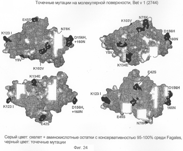 Новые мутантные аллергены (патент 2285042)