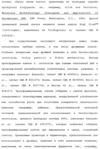 Новый лиганд рецептора цитокина zcytor17 (патент 2360923)