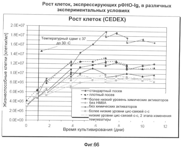 Получение рекомбинантного белка pфно-lg (патент 2458988)