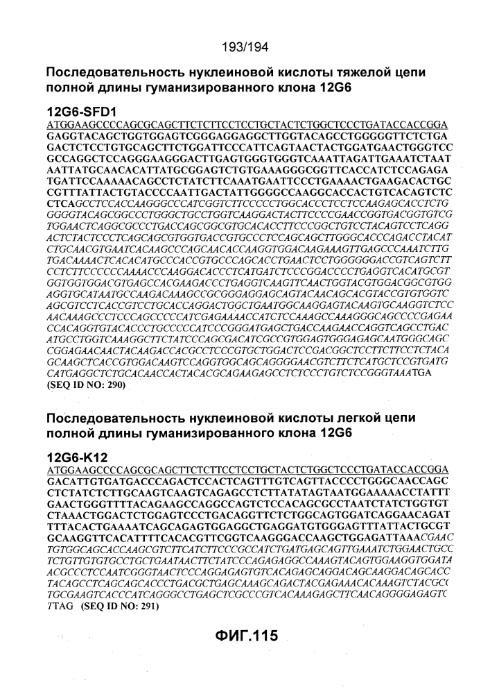 Иммуноглобулины k cd52 человека (патент 2603743)