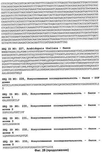 Растения, имеющие улучшенные характеристики роста, и способы их получения (патент 2463352)