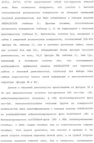 Антитела, сконструированные на основе цистеинов, и их конъюгаты (патент 2412947)