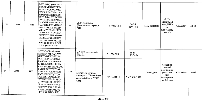 Бактериофаг, обладающий активностью против pseudomonas aeruginosa, белки бактериофага и способы их применения (патент 2580248)