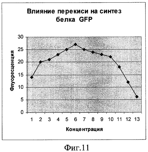 Рекомбинантная плазмидная днк для обнаружения агентов, повреждающих генетический аппарат клетки (варианты) (патент 2311459)