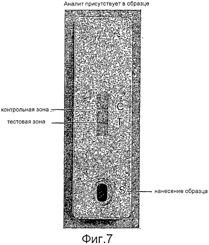 Устройства, способы и наборы для иммунохроматографии (патент 2568875)
