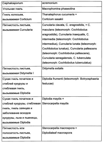 Новые последовательности нуклеиновых кислот и их применение в способах достижения устойчивости к патогенам в растениях (патент 2346985)