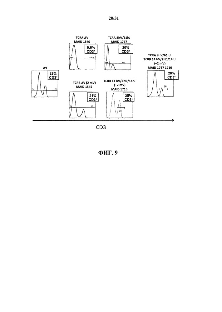 Генетически модифицированные в отношении т-клеточного рецептора мыши (патент 2661106)