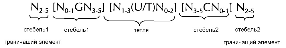 Нуклеиновая кислота, содержащая или кодирующая структуру "стебель-петля" гистонов и последовательность поли(а) или сигнал полиаденилирования, для повышения экспрессии кодируемого терапевтического белка (патент 2634391)