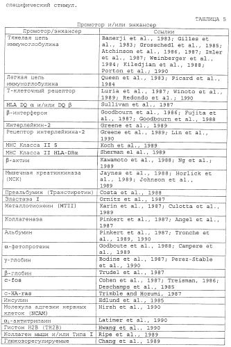 Способ уничтожения злокачественной клетки (патент 2432358)