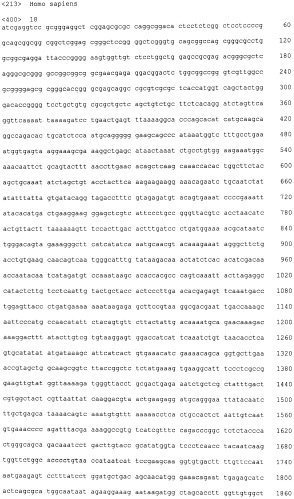 Лечение хориоидальной неоваскуляризации с помощью вакцин (патент 2555345)