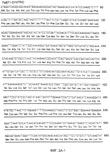 Нуклеиновые кислоты, кодирующие рецептор ctla-4 кошки, вектор, клетки-хозяева, вакцины, олигонуклеотиды, полипептиды ctla-4 кошки и способы индукции и подавления иммунного ответа у кошки (патент 2377302)